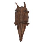 Couro de Jacaré Acab. HB (Caiman Yacare) Havana Rustico 