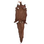 Couro De Jacaré (Caiman Yacare ) Tabaco