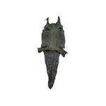 Couro de Jacare Acab. HB (Caiman yacare) - Verde Musgo - 7449