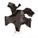 Retalhos em couro de jacaré - Caiman yacare (Nuca) 