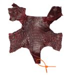 Retalhos em couro de jacaré - Caiman yacare (Nuca) 