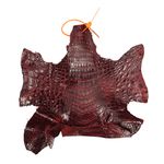 Retalhos em couro de jacaré - Caiman yacare (Nuca) 