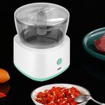 Mini Processador Triturador Elétrico De Alimentos – 250ML