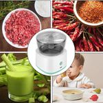 Mini Processador Triturador Elétrico De Alimentos – 250ML
