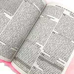 Bíblia Sagrada RC Pelúcia Com Alça Pink