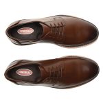 Sapato Masculino Derby Londres Café