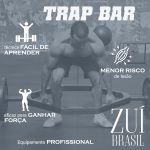 Barra Hexagonal Barra Musculação Academia Ponteira Standard Zuí Brasil