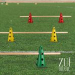 Kit Funcional 06 Cones Com Barreiras Zuí Brasil