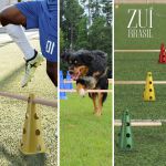 Kit Funcional 10 Cones Com Barreiras Zuí Brasil