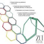 Kit Funcional Aro Hexagonal Circuito Agilidade Argola 08 Pç Zuí Brasil