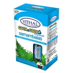 Fertilizante Gota a Gota para samambaias (6 ampolas) - Vithal 