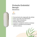 Proteção Endotelial Becaps