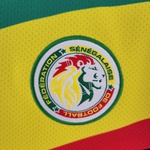 Senegal 2022 - Torcedor