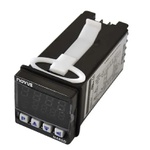 Controlador de Temperatura N480D RP USB 24V Novus