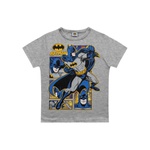 Camiseta Fakini Infantil Masculina 4 ao 10 Cinza Batman