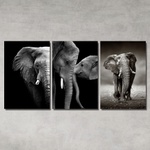 Kit 3 Placas Decorativos Elefantes