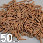 BIG SIZE 50 sementes Adenium para produção de Cavalos Porta Enxerto
