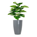 Teste - Vaso De Planta Grande Polietileno Decorativo Jd Cone 45x30 Copia Copia