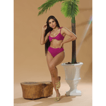 Biquíni Retrô com Calcinha Hot Pant
