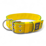 Coleira Para Cachorro Personalizada (Amarelo e Verde) Brasil