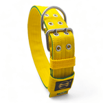 Coleira Para Cachorro Personalizada (Amarelo e Verde) Brasil