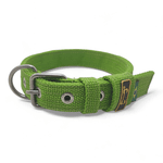 Coleira Fit Slim Personalizada Nome Cachorro Amorosso (Verde) 