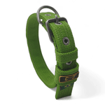 Coleira Fit Slim Personalizada Nome Cachorro Amorosso (Verde) 