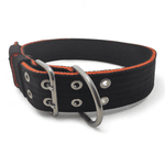 Coleira Para Cachorro Amorosso (preto e laranja) 