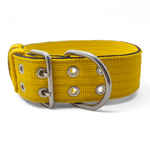 Coleira Para Cachorro Amorosso (amarelo e preto)