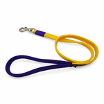 Guia de Passeio Cachorro Amarelo e Roxo