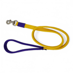 Guia de Passeio Cachorro Amarelo e Roxo