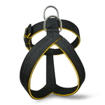 Peitoral Amorosso® Tradicional (preto e amarelo)
