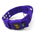 Coleira Poderosso Personalizada (Roxo)