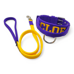 Coleira Para Cachorro Personalizada + Guia de Passeio (Roxo)