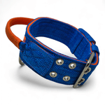 Coleira Poderosso Personalizada Azul e Laranja