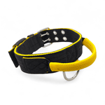 Coleira Para Cachorro Poderosso + Guia Longa 1,80 - Preto e Amarelo