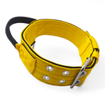 Coleira Para Cachorro Poderosso - Amarelo e Preto