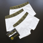 CUECA MALHA SUIÇA 12 Cuecas em 3 Cores + 4 Caixas Grátis | M, G, GG 