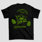 Camiseta Básica Flor do Natal