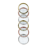 Kit Discos e Elástico Grande 31mm Treasure 312027 Caderno Inteligente