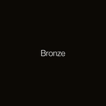 COLORGIN SPRAY ALUMEN BRONZE 1003 350ML