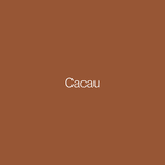 COLORGIN SPRAY ARTE URBANA CACAU 932 400ML