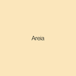 COLORGIN SPRAY ARTE URBANA AREIA 949 400ML