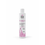 Kit Transição Capilar 300g