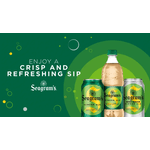Refrigerante Seagrams Gengibre 355ml