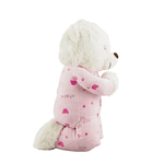 Urso Pelúcia - Reza Pai Nosso - Rosa Claro