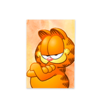 Kit Casadinho + Painel Romano Tema Garfield
