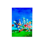 Kit Capadinho + Painel Romano Tema Sonic 02