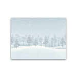 Painel Gigante Para Fotografia 4 x 3 Neve 04