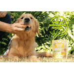 Petisco Natural para Cachorro Brincalhão Sabor Banana, Aveia e Mel 250g